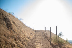 property for rent LA